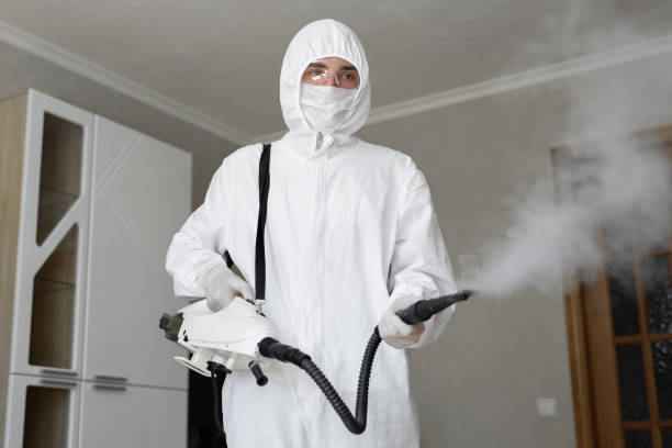 Mold Odor Removal Services in Porter, IN